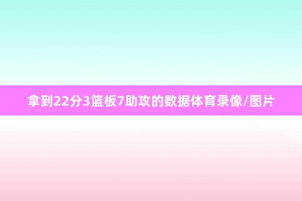 拿到22分3篮板7助攻的数据体育录像/图片