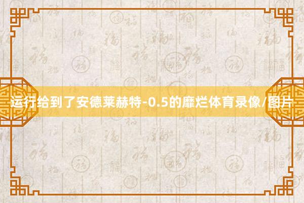 运行给到了安德莱赫特-0.5的靡烂体育录像/图片