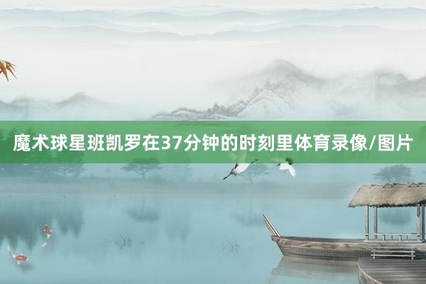 魔术球星班凯罗在37分钟的时刻里体育录像/图片
