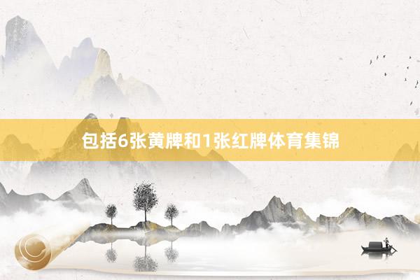 包括6张黄牌和1张红牌体育集锦