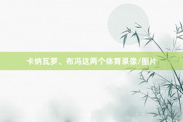 卡纳瓦罗、布冯这两个体育录像/图片