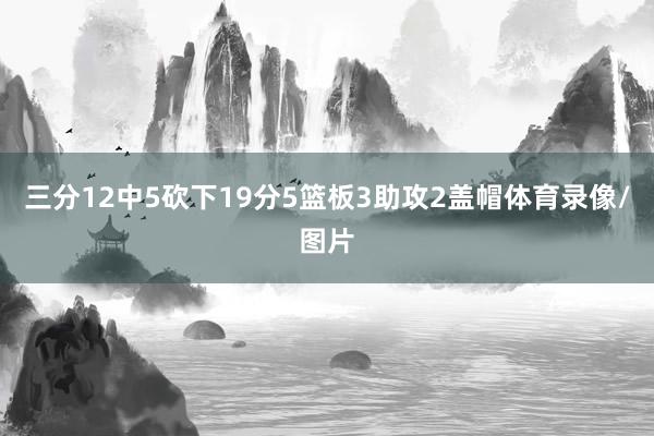 三分12中5砍下19分5篮板3助攻2盖帽体育录像/图片