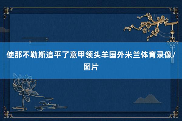 使那不勒斯追平了意甲领头羊国外米兰体育录像/图片