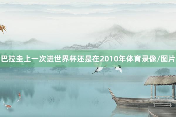 巴拉圭上一次进世界杯还是在2010年体育录像/图片